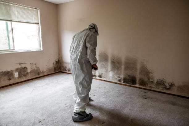 Asbestos and Lead Testing During Mold Inspection in Stamford, CT